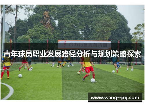 青年球员职业发展路径分析与规划策略探索
