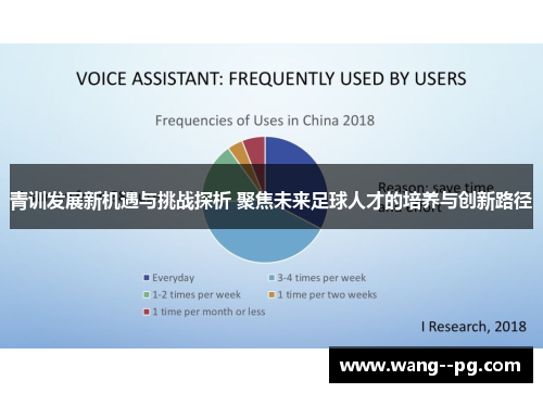 青训发展新机遇与挑战探析 聚焦未来足球人才的培养与创新路径