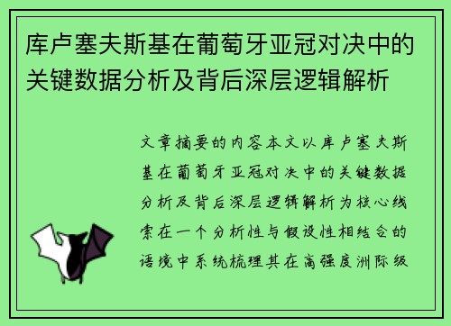 库卢塞夫斯基在葡萄牙亚冠对决中的关键数据分析及背后深层逻辑解析